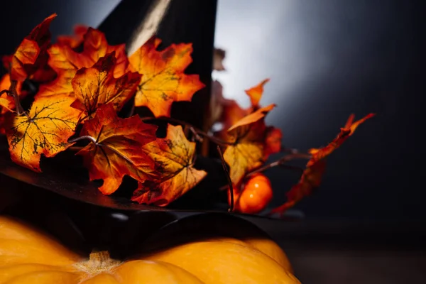 Cadılar Bayramı Balkabağı şapka siyah bir arka plan ile. Cadılar Bayramı tatil sanat tasarım, kutlama. Halloween Pumpkins 