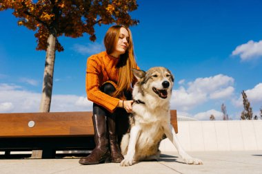 Güzel bir kız bir turuncu kazaklı parkta bir bankta oturur ve onu köpeğe benziyor. Mavi güzel gökyüzü, güneşli sonbahar günü, sıcak hava.