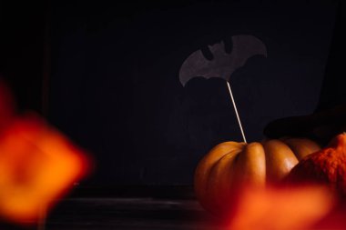 Cadılar Bayramı Balkabağı, yarasa siyah arka plan, düşen yapraklar üzerinde sopa