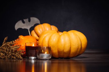 Cadılar Bayramı Balkabağı siyah arka plan üzerine. Cadılar Bayramı tatil sanat tasarım, kutlama. Halloween Pumpkins mumlar, yarasalar, cadı şapka bir kabak yanma ile