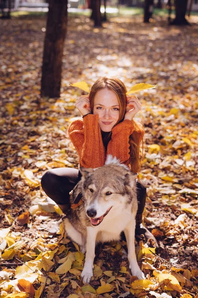 bir köpek ile bir yürüyüşte komik kız. Kız kendini düşmüş yaprakları kulakları yaptı. Sonbahar sıcak günü