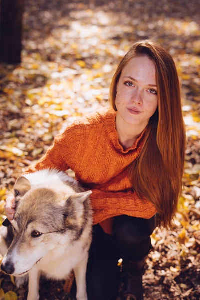 Kızıl saçlı kız kameraya bakarak turuncu bir kazak. Bir kız düşen yapraklar üzerinde oturur ve köpeğiyle oynuyor