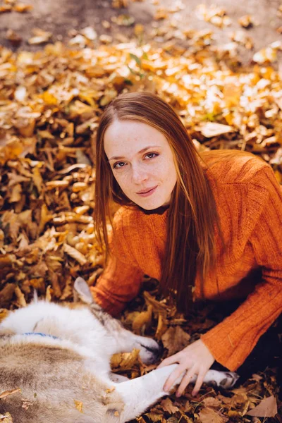 güzel kız köpeğiyle düşen sonbahar yaprakları üzerinde yatıyor. Sıcak hava, sonbahar günü, 