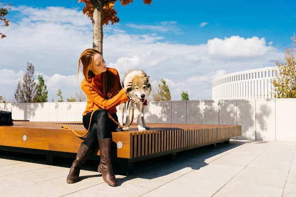 bir parkta bir bankta oturan bir köpek ile kız. Mavi gökyüzü, iyi bir hava, sıcak sonbahar günü.