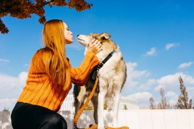 güzel kızıl saçlı kız bir sonbahar parkında oturur ve onu köpek kisses