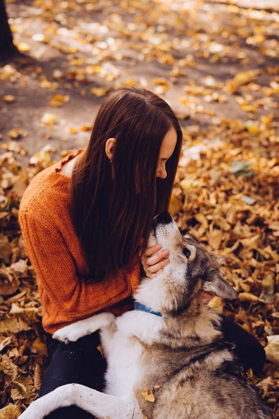 Young girl sitting in an environment of yellow fallen leaves and playing with her dog — Stock Photo, Image