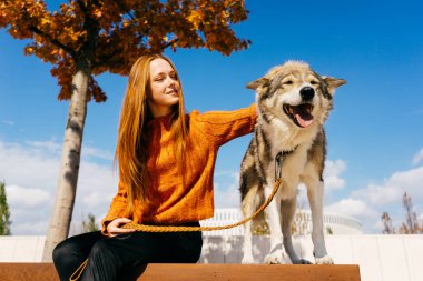 Kızıl saçlı kız büyük köpeğini ahşap bir bankta oturan okşayarak