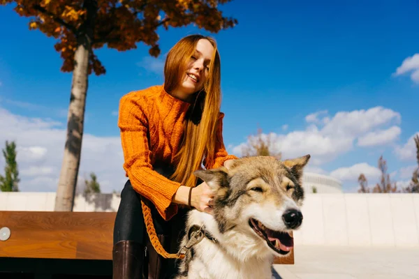 Kızıl saçlı kız gülümsüyor, büyük gri köpeği ile ahşap bir bankta oturur