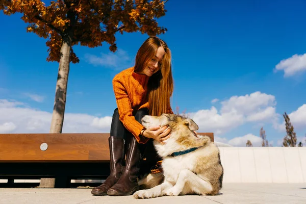 Рыжая улыбающаяся девушка сидит на деревянной скамейке и гладит свою собаку по голубому небу — стоковое фото