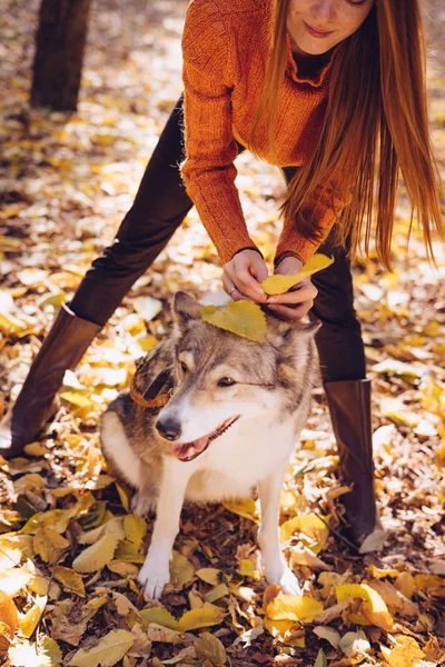 Rödhårig tjej i stövlar leker med hennes hund i parken, runt fallna höstlöv — Stockfoto