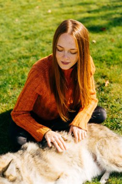 şık kazaklı uzun saçlı Kızıl saçlı kız büyük gri köpeğiyle oynuyor