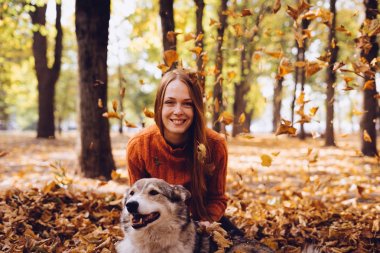 şık kazaklı uzun saçlı Kızıl saçlı kız büyük gri köpeğiyle oynuyor