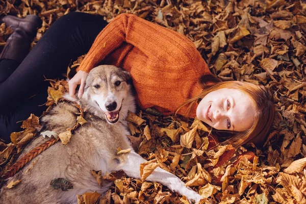 Långhåriga rödhårig flicka i fashionabla tröja leker med sin stora grå hund — Stockfoto