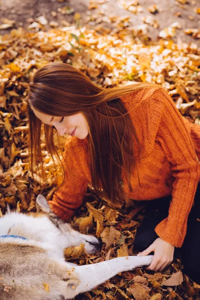 Langharige roodharige meisje in een modieuze trui speelt met haar grote grijze hond — Stockfoto