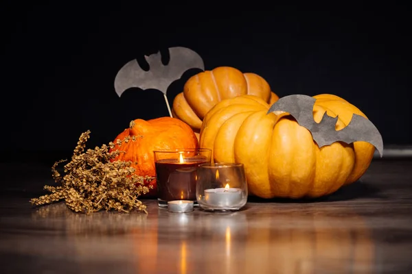 Samenstelling voor het verfraaien van het huis voor halloween, geel en oranje pompoenen, geurkaarsen, tekeningen van zwarte vleermuizen branden — Stockfoto