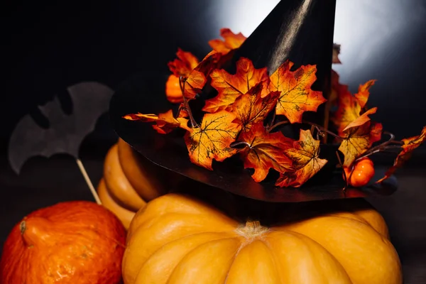 Samenstelling voor het verfraaien van een huis voor halloween, gele en oranje pompoenen, een zwarte heks hoed versierd met esdoorn bladeren — Stockfoto