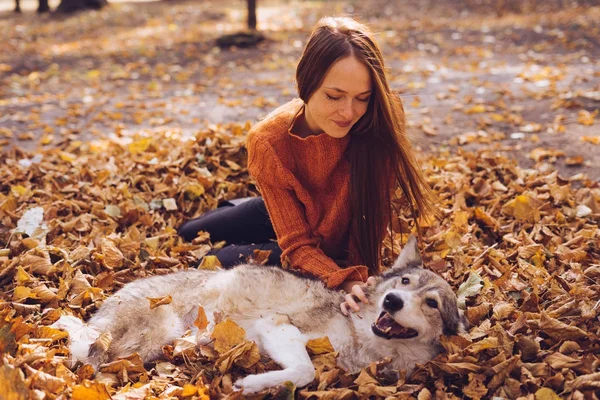 Bela menina ruiva posando com seu cão em uma pilha de folhas de outono caídas — Fotografia de Stock