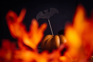 Cadılar Bayramı, turuncu ve sarı kabak, Kara Cadı şapkası için bir ev dekorasyon için bir kompozisyon