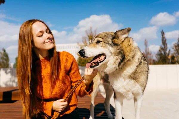Молодая девушка в оранжевом свитере сидит на деревянной скамейке со своей собакой — стоковое фото