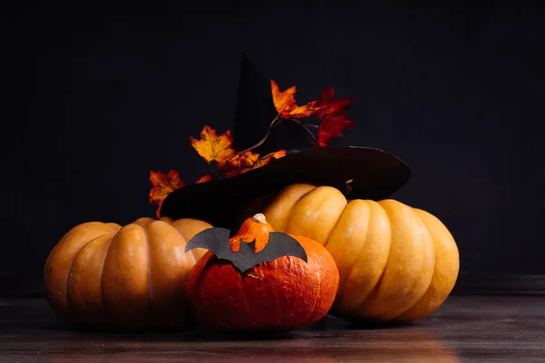 Komposition zur Dekoration eines Hauses für Halloween, Kürbis, Hexenhut, dekoriert mit Herbstblättern — Stockfoto