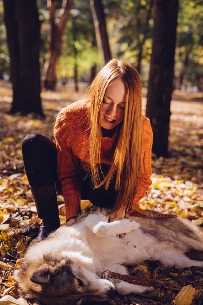 Рыжая девушка играет со своей собакой в куче опавших осенью листьев — стоковое фото