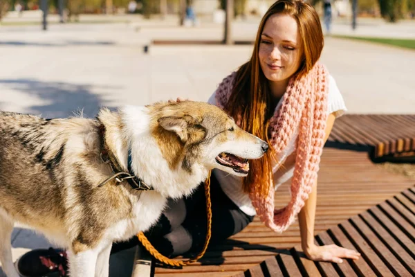 Rudowłosa dziewczyna piękny na drewnianej ławce z jej big dog — Zdjęcie stockowe