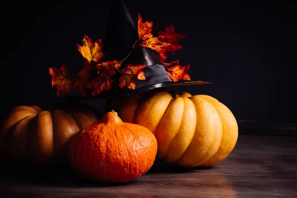 Sammansättning för att dekorera ett hus i halloween, orange och gult pumpor, häxans svart hatt, gula höstlöv — Stockfoto