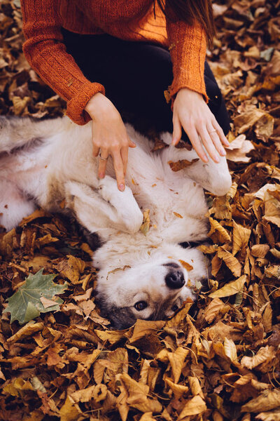 red-haired young girl is playing with her dog in a pile of autumn-fallen leaves