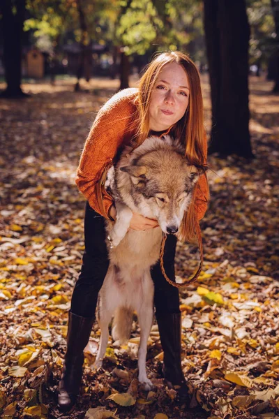 Rödhårig flicka leker med sin hund i en hög med höst-stupat blad — Stockfoto
