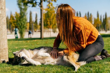 Kızıl saçlı güzel kız ile onun büyük köpek yeşil çimenlerin üzerinde oynuyor