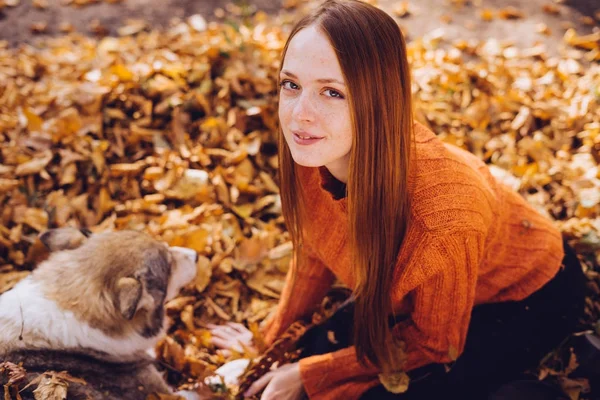 Vacker rödhårig flicka som leker med hennes hund i en hög av fallna hösten lämnar — Stockfoto
