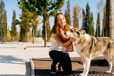 genç kız ile ahşap bir bankta oturan parkta onun köpek yürüyüş
