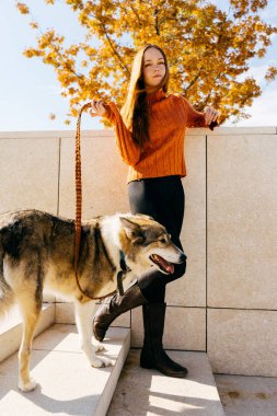 trendy bir turuncu kazaklı genç bir kız parkta onun köpek ile yürüyor