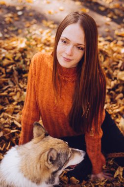 genç kız ile sonbahar düşen yapraklar yığını içinde oturan parkta onun köpek yürüyüş