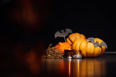 Cadılar Bayramı Balkabağı kafa jack fener siyah arka plan üzerine. Yarasa, büyük kabak, Cadılar Bayramı partisi