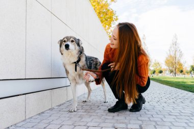 kız ile bir köpek yürüyüş. Turuncu kazaklı kız çömelmiş ve onu köpeğe benziyor. Parkta yürümek. Sıcak bir sonbahar günü olduğunu.