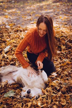 genç kız ile sonbahar düşen yapraklar yığını içinde oturan parkta onun köpek yürüyüş