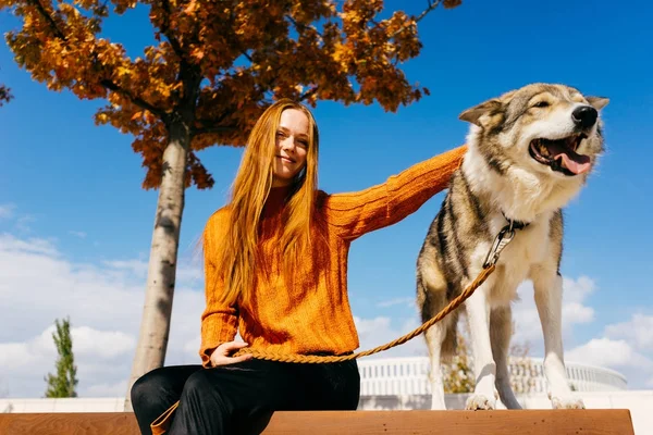 Bir portakal kazaklı Kızıl saçlı güzel kız güzel bir parkta bir bankta oturur ve kameraya benziyor. Köpek tasma kızın yanında oturur. Bir sonbahar günü güzeldir.