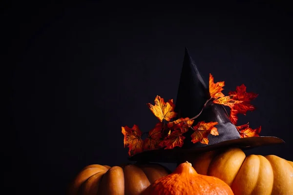 Grote Halloween pompoenen. Heks hoed in herfstbladeren berust op pompoenen op een zwarte achtergrond — Stockfoto