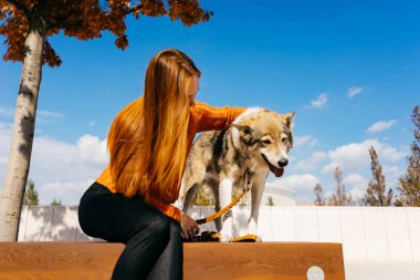 Kızıl saçlı kız parkta onun köpeği ile ahşap bir bankta oturmuş