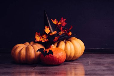 Cadılar Bayramı Balkabağı siyah arka plan üzerine. Cadılar Bayramı tatil sanat tasarım, kutlama. Halloween Pumpkins şapka, yarasalar ile