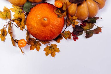 sonbahar tatil Cadılar Bayramı. Cadılar Bayramı için hazırlık. Düşen yapraklar, altın sonbahar. Cadılar Bayramı Balkabağı