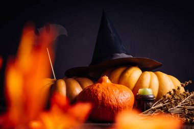 Cadılar Bayramı tatil sanat tasarım, kutlama. Halloween Pumpkins bir cadı şapka ve turuncu sonbahar yaprakları ile ve sopa ile