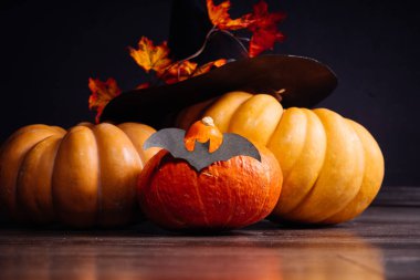 sonbahar tatil Cadılar Bayramı. Cadılar Bayramı Balkabağı bir şapka ile. Cadı şapka ile sonbahar yaprakları. Haloween stil, yarasalar