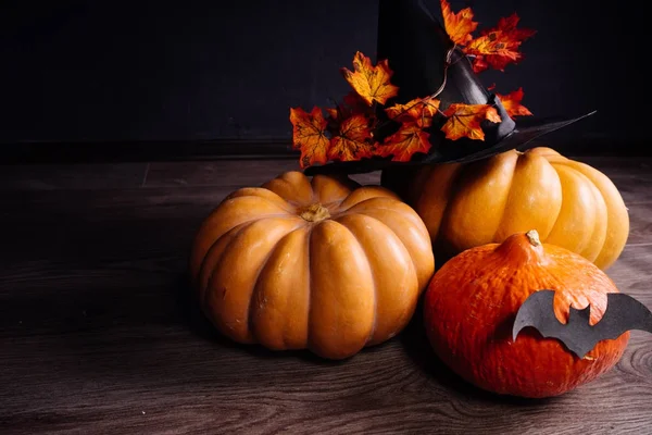 Halloween semester konstdesign, firande. Halloweenpumpor med en häxa hatt och orange höstlöv och med bat — Stockfoto