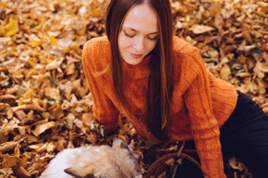 yıl düşmüş üzerinde çok hoş bir kız köpeğiyle bırakır ve aşağı baktım. Sonbahar hava, altın sonbahar, güneşli bir gün.