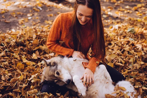 Krásná dívka na procházku se svým psem. Podzimní počasí, zlatý podzim, slunečný den. — Stock fotografie