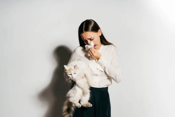 Menina de cabelos longos alérgico ao gato, isolado no fundo branco, gato branco — Fotografia de Stock