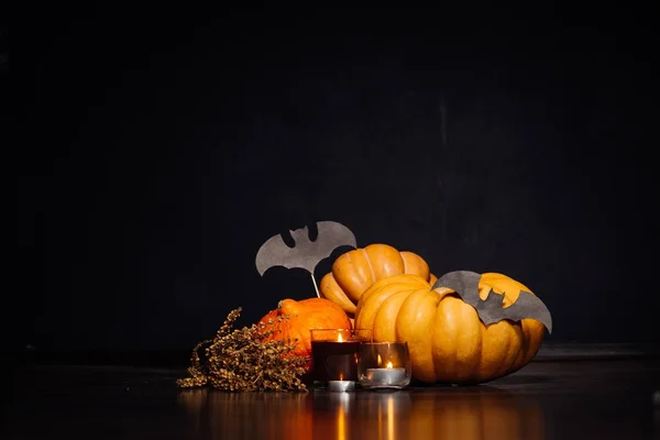 Halloween pumpa huvud jack lykta på svart bakgrund. Bat, stora pumpor, Halloweenfest — Stockfoto