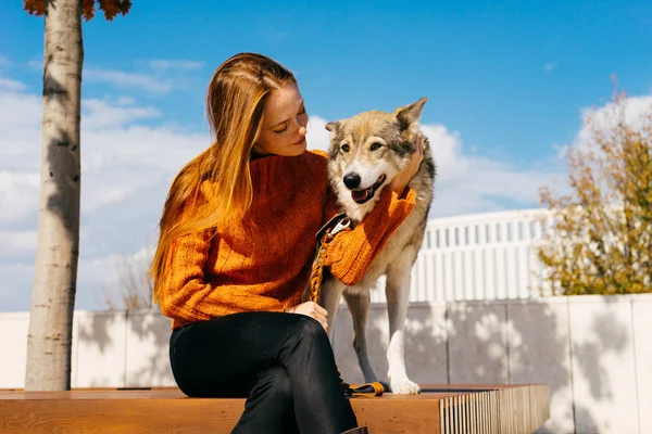 Härlig rödhårig flicka gick en promenad med hunden, soligt väder, vackra park — Stockfoto